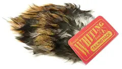 Whiting Coq De Leon Tailing Pack Unique Variant