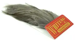 Whiting Coq De Leon Tailing Pack White dyed Medium Dun