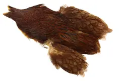 Whiting Hen Cape Brown