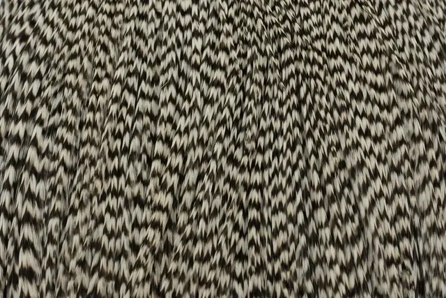 Whiting Pro Grade Cape Grizzly Nakkefjær av høy kvalitet til tørrfluer 