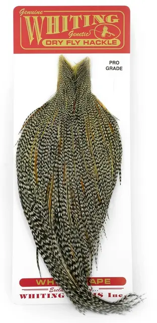 Whiting Pro Grade Cape Grizzly Variant Nakkefjær av høy kvalitet til tørrfluer 