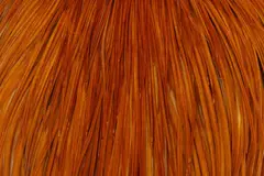 Whiting Pro Grade Cape Medium Ginger Nakkefj&#230;r av h&#248;y kvalitet til t&#248;rrfluer