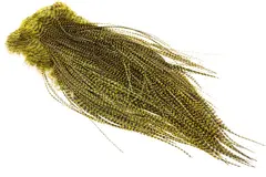 Whiting Dry Fly Saddle Grizzly Golden Ol Pro Grade