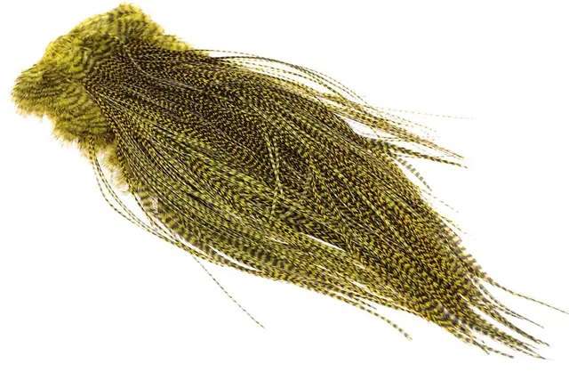 Whiting Dry Fly Saddle Grizzly Golden Ol Pro Grade 