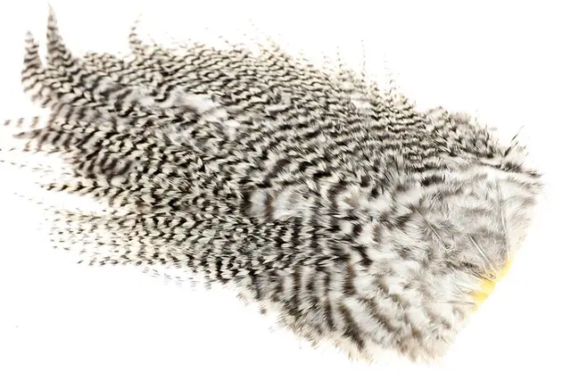 Feathermaster Rooster Saddle Splash 