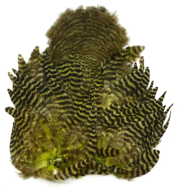 Whiting Rooster SH/C Grizzly Grizzly dyed Dark Olive 