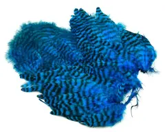 Whiting Rooster SH/C Grizzly Grizzly dyed Kingfisher Blue