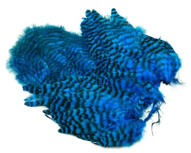 Whiting Rooster SH/C Grizzly Grizzly dyed Kingfisher Blue 