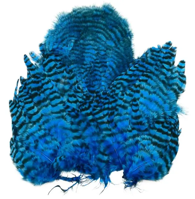 Whiting Rooster SH/C Grizzly Grizzly dyed Kingfisher Blue 