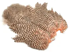 Whiting Rooster SH/C Grizzly Grizzly dyed Salmon