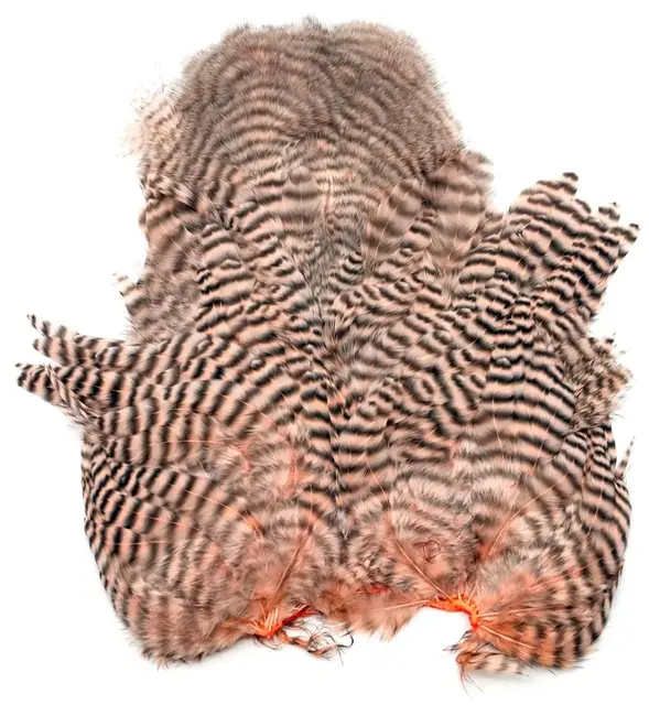 Whiting Rooster SH/C Grizzly Grizzly dyed Salmon 