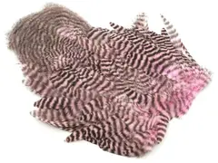 Whiting Rooster SH/C Grizzly Grizzly dyed Shell Pink