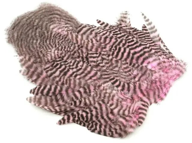 Whiting Rooster SH/C Grizzly Grizzly dyed Shell Pink 