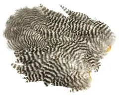 Whiting Rooster SH/C Grizzly Grizzly