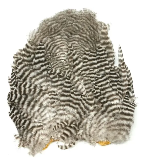 Whiting Rooster SH/C Grizzly Grizzly 