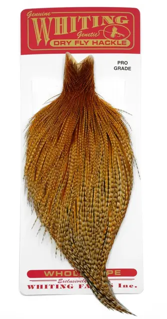 Whiting Silver Cape Barred Dark Ginger Lange fibere og utrolig tette fjær 