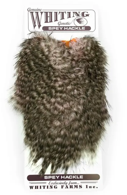 Whiting Spey Hackle Hen Saddle Grizzly dyed Shell Pink 