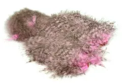 Whiting Spey SH/C Grizzly dyed ShellPink Grizzly dyed Shell Pink