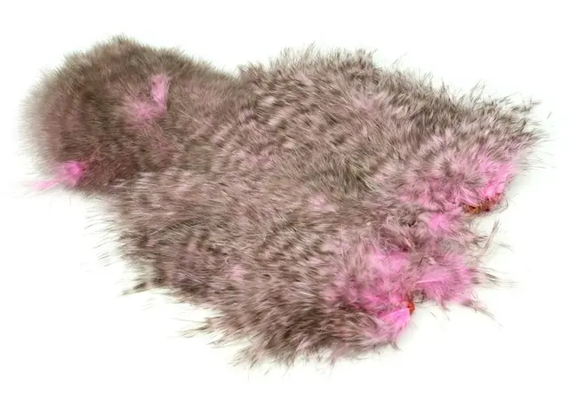 Whiting Spey SH/C Grizzly dyed ShellPink Grizzly dyed Shell Pink 