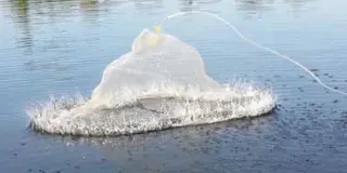 Wiggler kastenett 2,8m 8mm masker Casting Net kastegarn