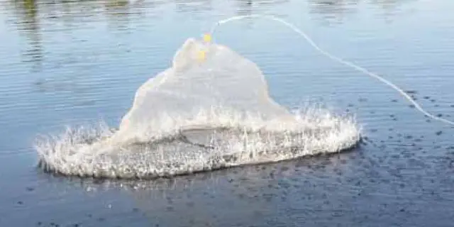 Wiggler kastenett 2,8m 8mm masker Casting Net kastegarn 