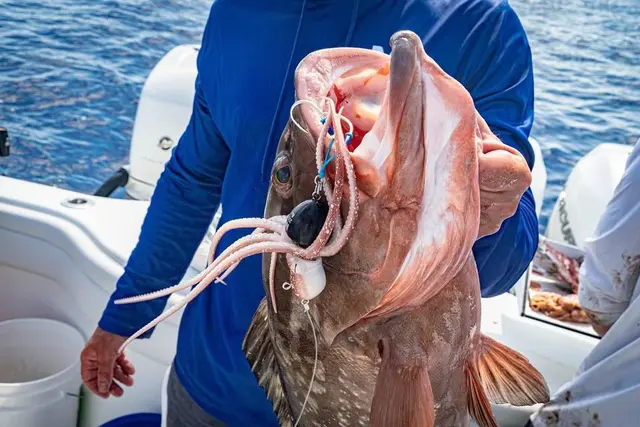 Mustad InkVader Kit w/Tablets Common 150g 