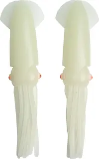 Sunlight Squid Selvlysende