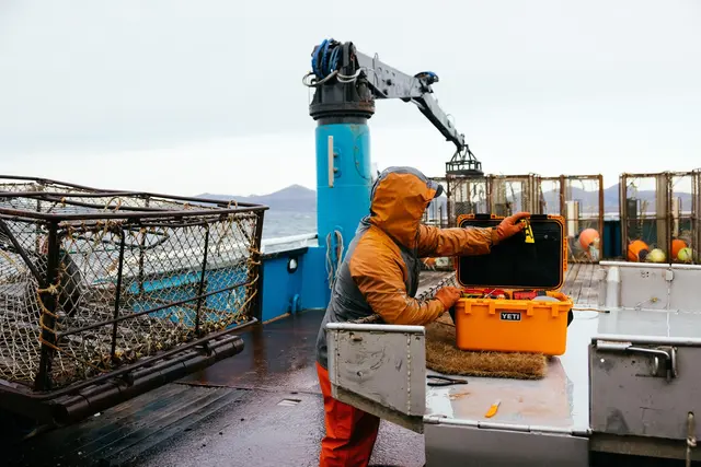 Yeti LoadOut GoBox 60 Tan Vanntett og sikker oppbevaringsboks 