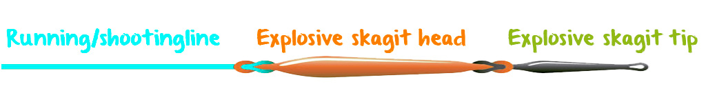 Illustrerer oppsett av skytline, skagit head og skagit tip